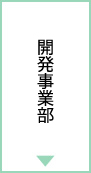 開発事業部